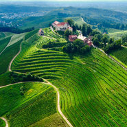 2&period; Platz Siegerfoto vom Ortenauer Weinpfad von Felix Neumann &lpar;c&rpar; WPO